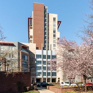 Kasa Alexandria Washington